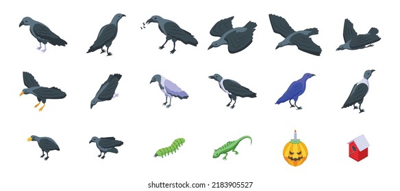 Raven icons set isometric vector. Animal bird. Dark feather