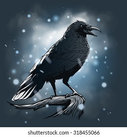 Raven illustration