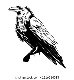 Raven Illustration Vector Isolated