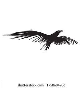 raven ink pen illustration vector