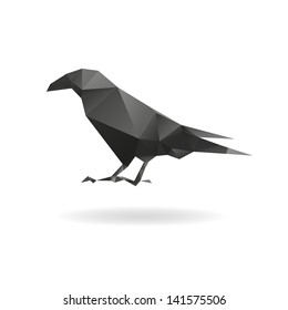 Raven isolated on a white backgrounds