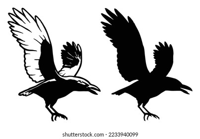 A raven lands as a silhouette, vector illustration of crow landing 