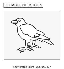  Raven line icon. Large heavily built crow with black plumage. Birds concept. Isolated vector illustration. Editable stroke