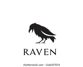 raven logo icon designs