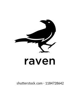 raven logo icon designs vector