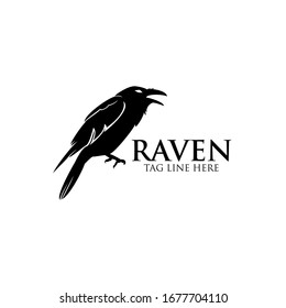 raven logo icon vector design template