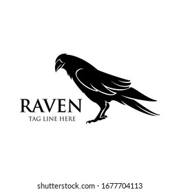 raven logo icon vector design template