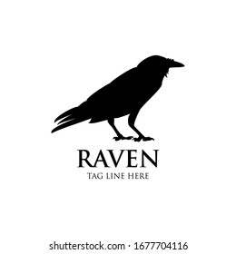 Raven Logo Icon Vector Design Template