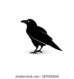 raven logo icon vector design template