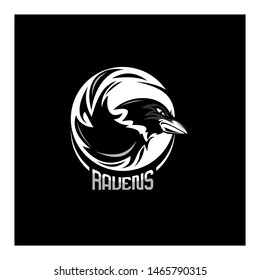 Raven Mascot Initial Logo Concept 