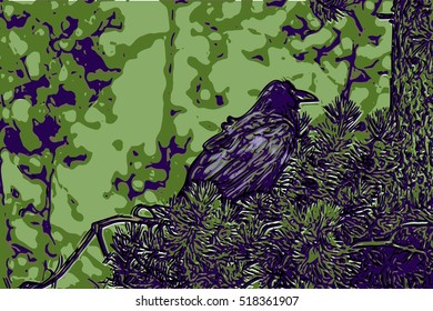 raven on a branch