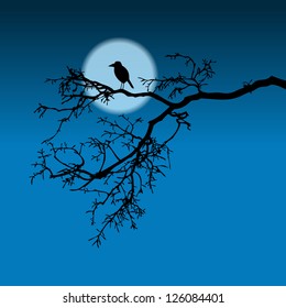 Raven on a branch, night illustration, silhouette