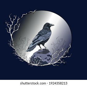 Raven on a dark background in a frame, vector