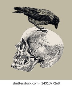 Raven on a human skull. Hand drawing, vector illustration.