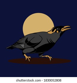 raven on night with moon vector illustration design