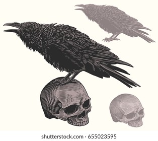 The Raven on the skull. Design set. Hand drawn engraving. Vector vintage illustration. Isolated on color background. 8 EPS