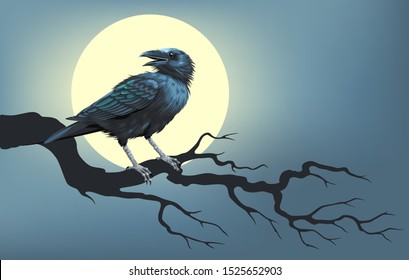 Raven on a tree in front of the moon