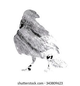 Raven on white background, vector illustration