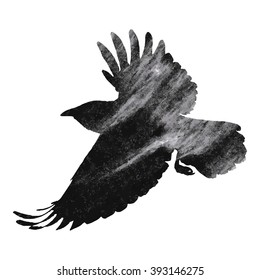 Raven on white background, vector illustration