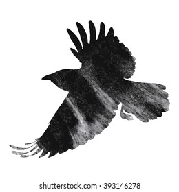 Raven on white background, vector illustration