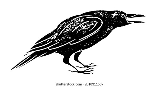 Raven with an open beak with grunge texture