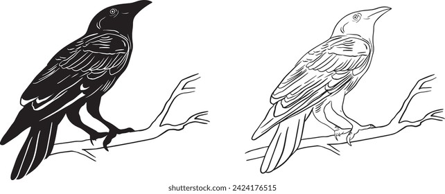 Raven Outline Line Art Illustration - Vector Raven Icon - Isolierte schwarze Silhouettenvögel - Satz schwarz isolierte Crow-Silhouetten auf einem Ast sitzen 