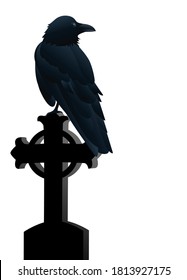 Raven perched on an gravestone isolated on white background.