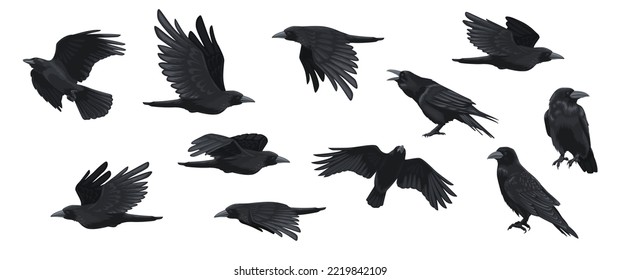 Raven Set. Schwarze Krähen Silhouetten, Blackbird verschiedene Posen fliegenden wilden Charakter Symbole für Logo Tattoo Design. Kollektion von Vektorgrafiken einzeln. Dunkelgothische Vögel mit Flügelflattern