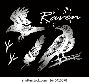 Raven set. Raven sits on a branch, flies. Feather and footprints of a bird. White image on a black chalkboard.