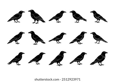 Raven Silhouette Bundle, Vector Illustration, Animal Wildlife Clipart