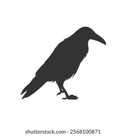 Raven Silhouette Illustration, Black Bird Sketch, Isolated