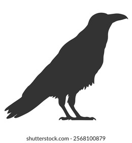 Raven Silhouette Illustration, Black Bird Sketch, Isolated