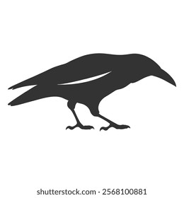 Raven Silhouette Illustration, Black Bird Sketch, Isolated