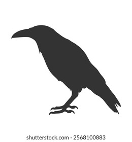 Raven Silhouette Illustration, Black Bird Sketch, Isolated