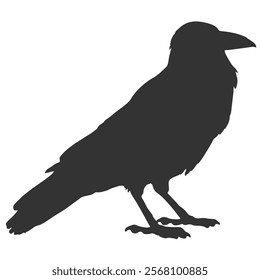 Raven Silhouette Illustration, Black Bird Sketch, Isolated