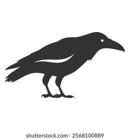 Raven Silhouette Illustration, Black Bird Sketch, Isolated