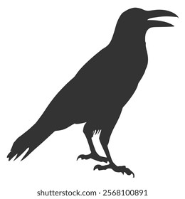 Raven Silhouette Illustration, Black Bird Sketch, Isolated