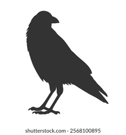 Raven Silhouette Illustration, Black Bird Sketch, Isolated