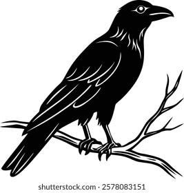 A raven silhouette on a tree branch.