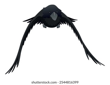 Raven. Silhouette Representing Bird Specie Captured in Moment of Flight and Resting