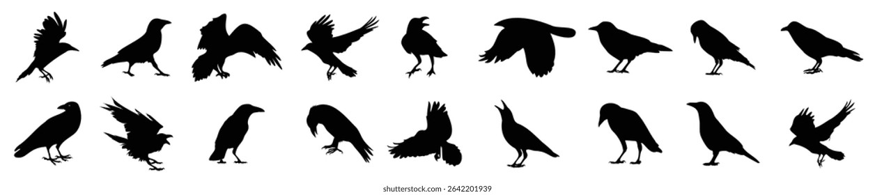 Raven silhouette set. Crow black icons. Set of black raven silhouette