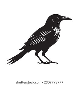 raven silhouette Vector  icon logo