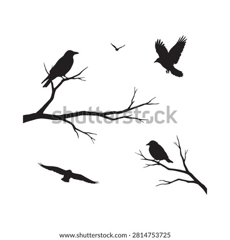 Raven Silhouettes On Branches Black And White Graphic