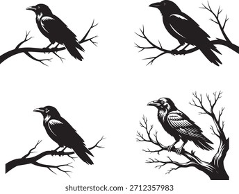 Un cuervo sentado en una rama de árbol desnudo silueta Vector Diseño