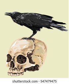 Raven Sitting on Human Skull -  High Detailed Vector Art. 