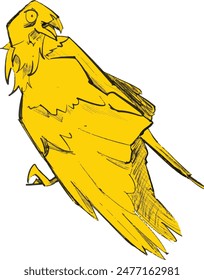raven sketchy vector. bird sketch in vector. angry raven