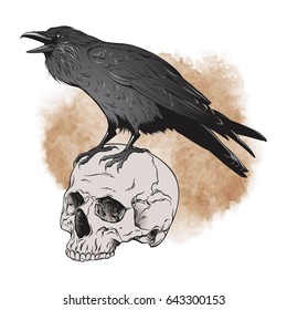 Raven and skull on sepia background vector illustration.