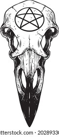 raven skull and pentagram vector illustration

