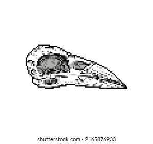 Raven Skull pixel art. 8 bit Raven head skeleton. pixelated Vector illustration