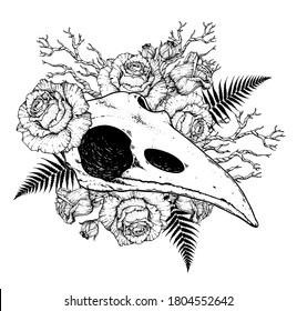 Rosenschädel und Rosenblumen. Handgezeichnete Illustration. Tattoo Vintage Druck. Vogelschädel und rote Rosen.